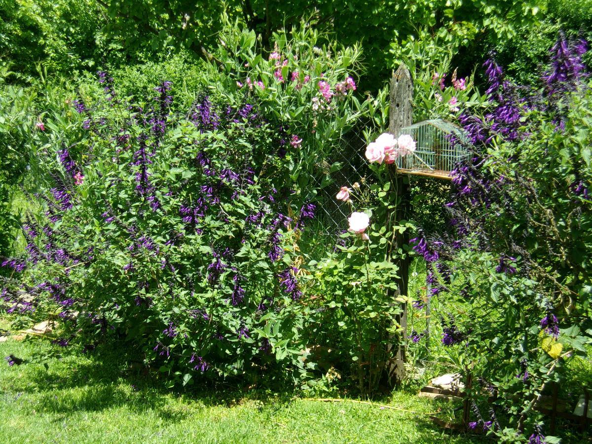 La Posada De Don Segundo San Antonio de Areco Εξωτερικό φωτογραφία